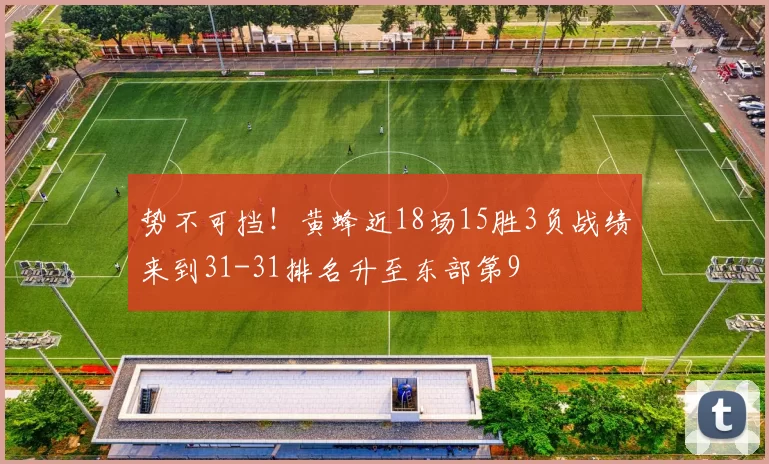 势不可挡！黄蜂近18场15胜3负战绩来到31-31排名升至东部第9