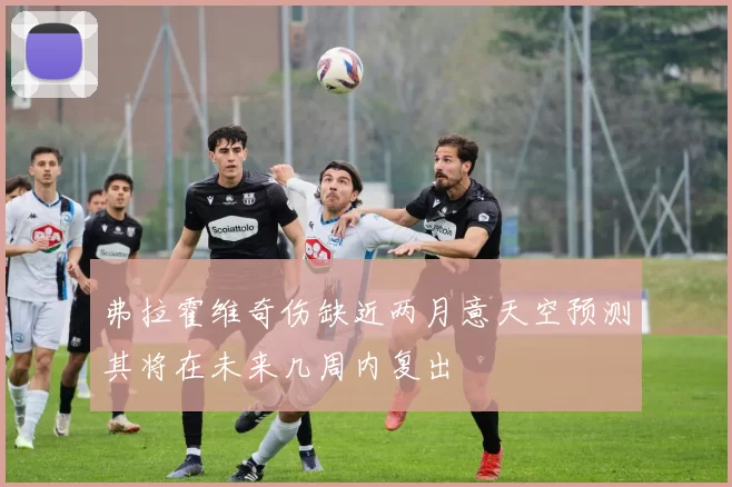弗拉霍维奇伤缺近两月意天空预测其将在未来几周内复出